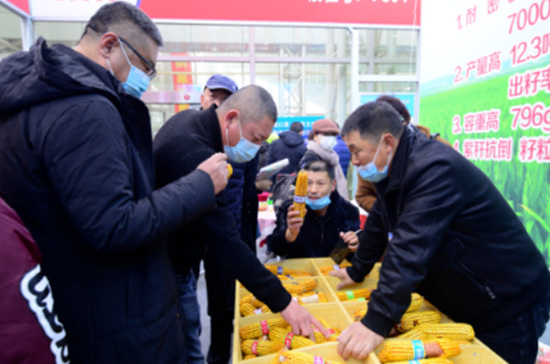 逆勢啟航|第26屆哈爾濱種業(yè)博覽會圓滿落幕 逆勢啟航|第26屆哈爾濱種業(yè)博覽會圓滿落幕