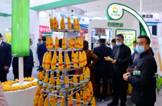 逆勢啟航|第26屆哈爾濱種業(yè)博覽會圓滿落幕 逆勢啟航|第26屆哈爾濱種業(yè)博覽會圓滿落幕