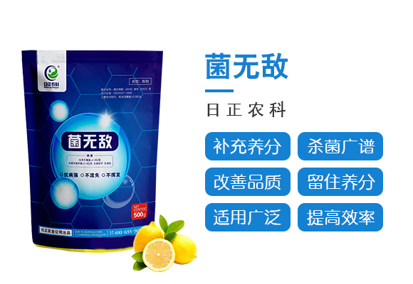 鑿屾棤鏁?鏃ユ鍐滅_03.jpg 鑿屾棤鏁?鏃ユ鍐滅_03.jpg