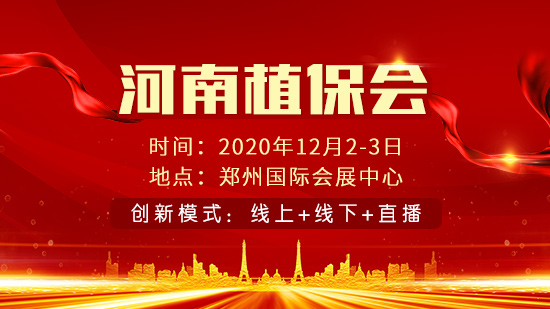 12.2-3ֲИI(y)ʢ(hu) | һӵչʾһӵչ(hu)