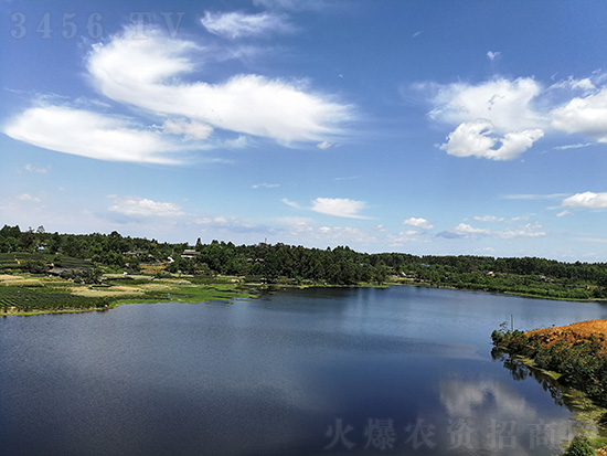 ĴA߿ƷNI(y)؟(z)ι˾