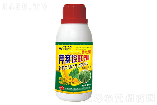 露地芹菜什么時候種較合適?露地芹菜種植技術(shù)和種植時間 露地芹菜什么時候種較合適?露地芹菜種植技術(shù)和種植時間