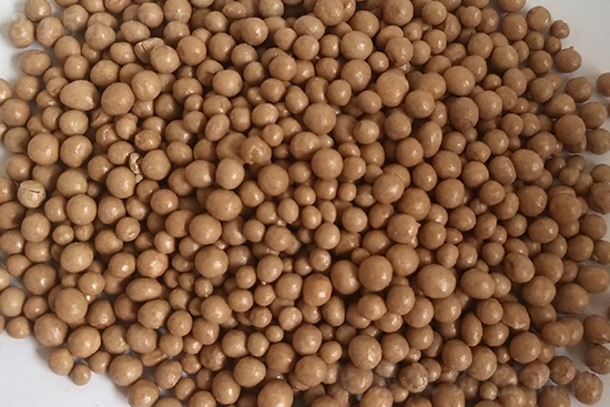 Ȼ⛶Xһ20201225սȻ⛃r(ji)(bo)r(ji)