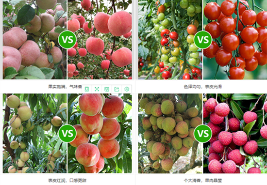 騫寵 鍨嬪ぇ閲忓厓绱犳按婧惰偉19-19-19+TE-縐戣禌寰?瀹夐槼涓洓4.jpg 騫寵 鍨嬪ぇ閲忓厓绱犳按婧惰偉19-19-19+TE-縐戣禌寰?瀹夐槼涓洓4.jpg