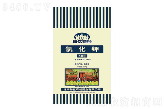 ⛷Сq2021-3-13ĩ⛷ʃr(ji)(bo)r(ji)