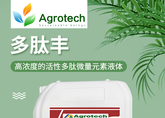 鍩冨強鑹炬牸娉板厠鍥介檯鍐滀笟寮鍙戞妧鏈泦鍥㈡湁闄愬叕鍙竉01.jpg 鍩冨強鑹炬牸娉板厠鍥介檯鍐滀笟寮鍙戞妧鏈泦鍥㈡湁闄愬叕鍙竉01.jpg