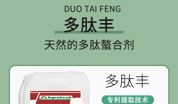 鍩冨強鑹炬牸娉板厠鍥介檯鍐滀笟寮鍙戞妧鏈泦鍥㈡湁闄愬叕鍙竉06.jpg 鍩冨強鑹炬牸娉板厠鍥介檯鍐滀笟寮鍙戞妧鏈泦鍥㈡湁闄愬叕鍙竉06.jpg