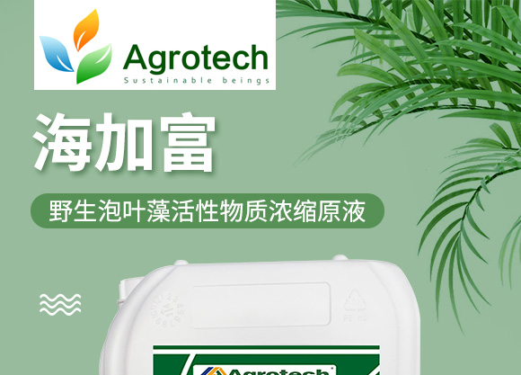 鍩冨強鑹炬牸娉板厠鍥介檯鍐滀笟寮鍙戞妧鏈泦鍥㈡湁闄愬叕鍙?_01.jpg 鍩冨強鑹炬牸娉板厠鍥介檯鍐滀笟寮鍙戞妧鏈泦鍥㈡湁闄愬叕鍙?_01.jpg