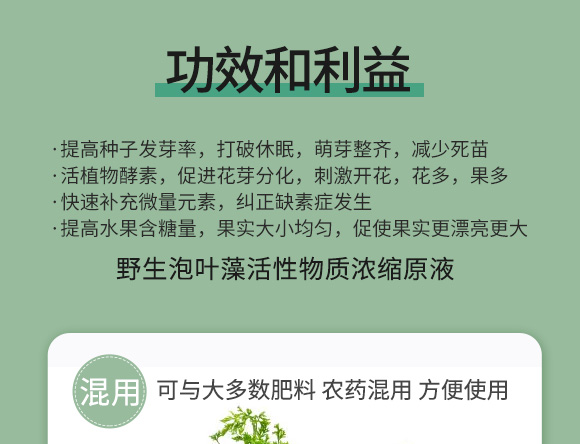 鍩冨強鑹炬牸娉板厠鍥介檯鍐滀笟寮鍙戞妧鏈泦鍥㈡湁闄愬叕鍙?_04.jpg 鍩冨強鑹炬牸娉板厠鍥介檯鍐滀笟寮鍙戞妧鏈泦鍥㈡湁闄愬叕鍙?_04.jpg