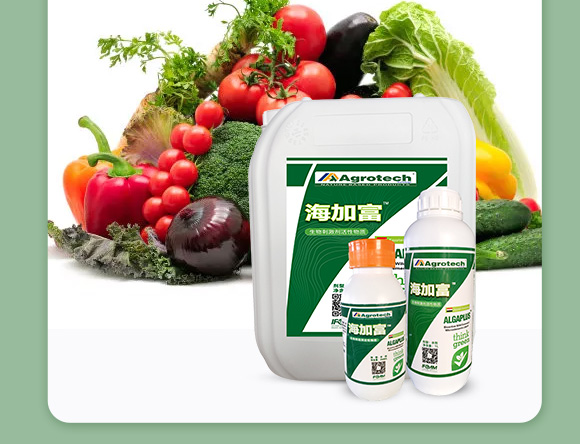 鍩冨強鑹炬牸娉板厠鍥介檯鍐滀笟寮鍙戞妧鏈泦鍥㈡湁闄愬叕鍙?_05.jpg 鍩冨強鑹炬牸娉板厠鍥介檯鍐滀笟寮鍙戞妧鏈泦鍥㈡湁闄愬叕鍙?_05.jpg