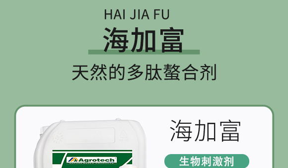 鍩冨強鑹炬牸娉板厠鍥介檯鍐滀笟寮鍙戞妧鏈泦鍥㈡湁闄愬叕鍙?_06.jpg 鍩冨強鑹炬牸娉板厠鍥介檯鍐滀笟寮鍙戞妧鏈泦鍥㈡湁闄愬叕鍙?_06.jpg