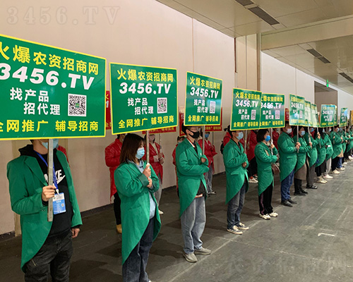 ̏(qing)݁ucs2021ԭϕ