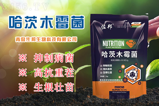 重茬減產(chǎn)超20%,再不治就晚了!佐邦哈茨木霉菌,專為高抗重茬而生! 重茬減產(chǎn)超20%,再不治就晚了!佐邦哈茨木霉菌,專為高抗重茬而生!