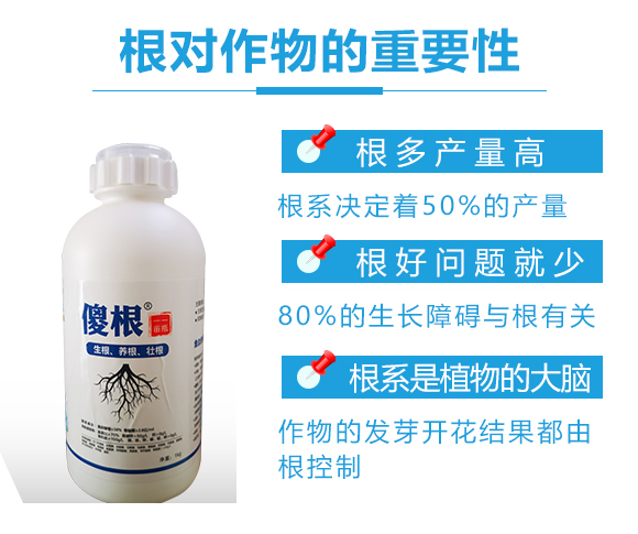 瀵垮厜甯?jìng)鐢熸佽偉鏂欑鎶涓績(jī)-鐢熸牴鍓?鍌繪牴_02.jpg 瀵垮厜甯?jìng)鐢熸佽偉鏂欑鎶涓績(jī)-鐢熸牴鍓?鍌繪牴_02.jpg