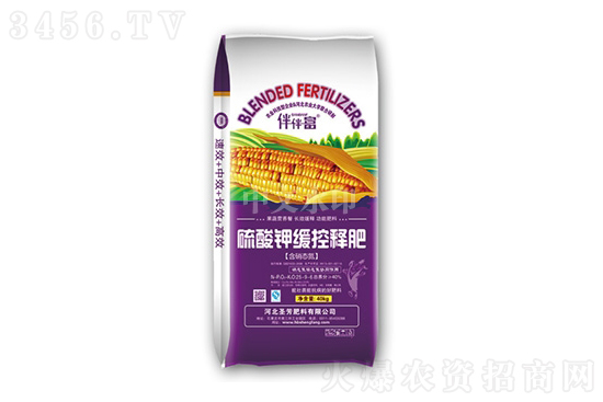 С2021-11-4⛃r(ji)