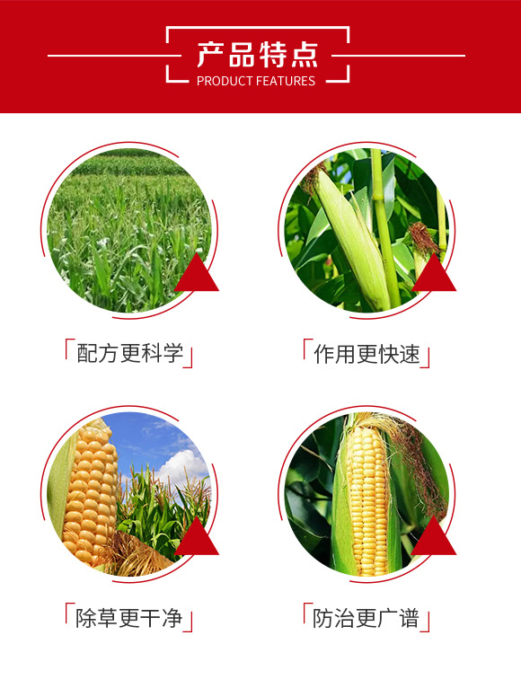 30%硝煙·莠去津-鄭州鼎來(lái)瑞-農(nóng)資_03.jpg 30%硝煙·莠去津-鄭州鼎來(lái)瑞-農(nóng)資_03.jpg