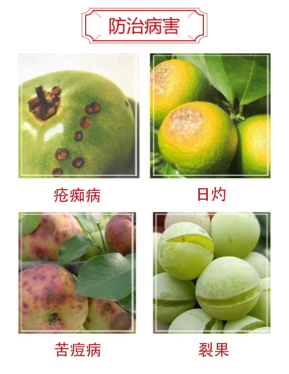 涔抽吀鑿岀礌閽?浜旇胺涓癬03.jpg 涔抽吀鑿岀礌閽?浜旇胺涓癬03.jpg