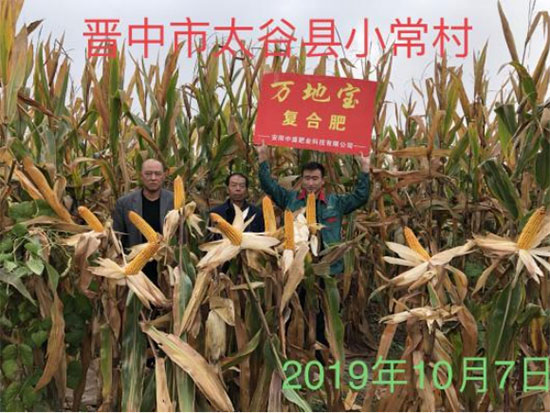 鏈爣棰?1.jpg 鏈爣棰?1.jpg