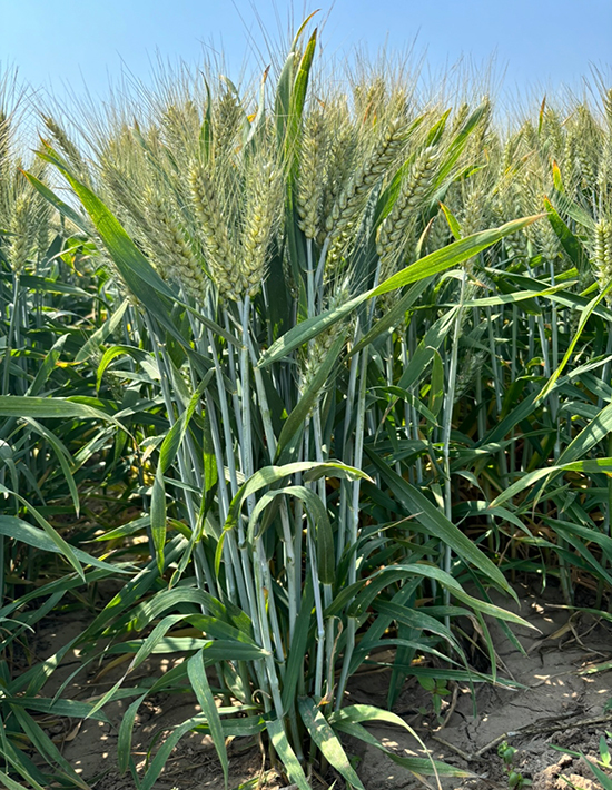 寰俊鍥劇墖_20241224113504.jpg 寰俊鍥劇墖_20241224113504.jpg