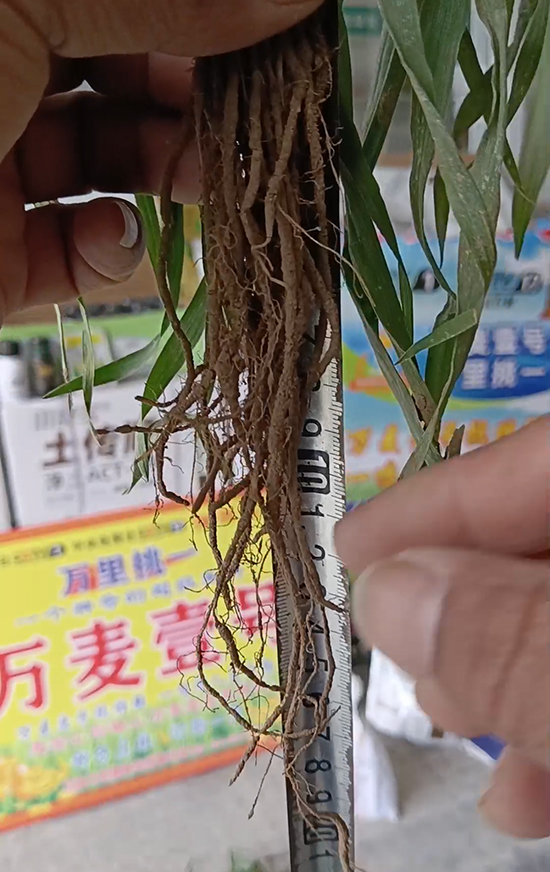 寰俊鍥劇墖_20241224113510.jpg 寰俊鍥劇墖_20241224113510.jpg