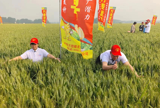 寰俊鍥劇墖_20241224113622.jpg 寰俊鍥劇墖_20241224113622.jpg