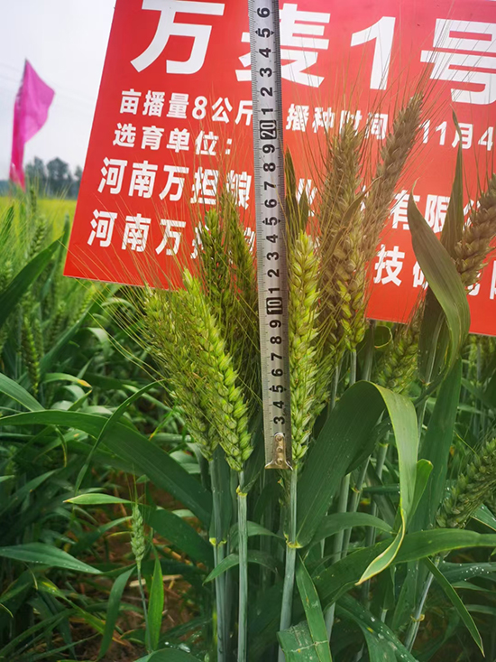 寰俊鍥劇墖_20241224113638.jpg 寰俊鍥劇墖_20241224113638.jpg