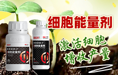 бr(nng)r(nng)I(y)Ƽl(f)չ޹˾