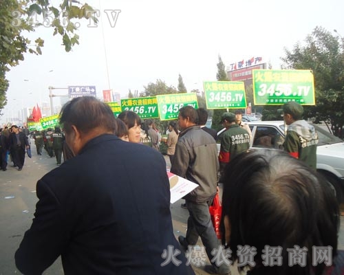 火爆列隊(duì)如奔馳的駿馬