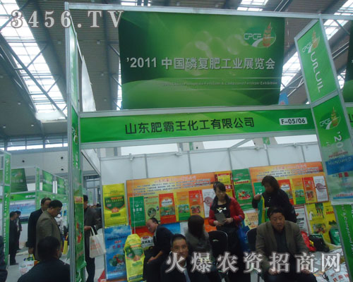 山東肥霸王化工有限公司