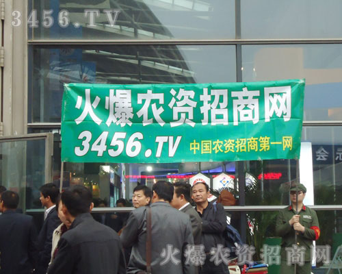 ڱ׏(f)(hu)B(qing)đB(ti)ƴ