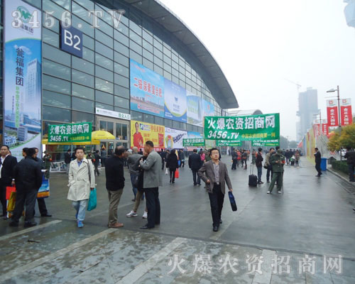 ֻŬƴܵõ˵ĳɿ