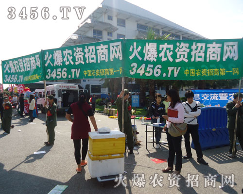 ߵ҂(jin)ͦļ