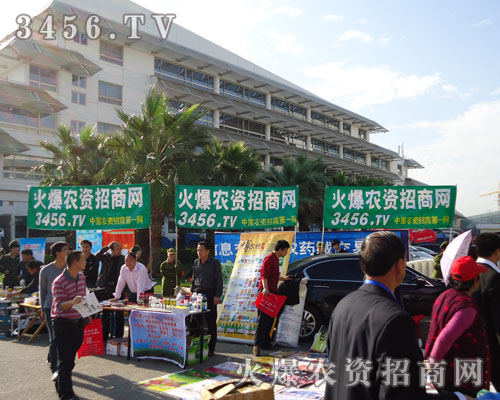 r(nng)Y̾W(wng)Wҫr(nng)Y