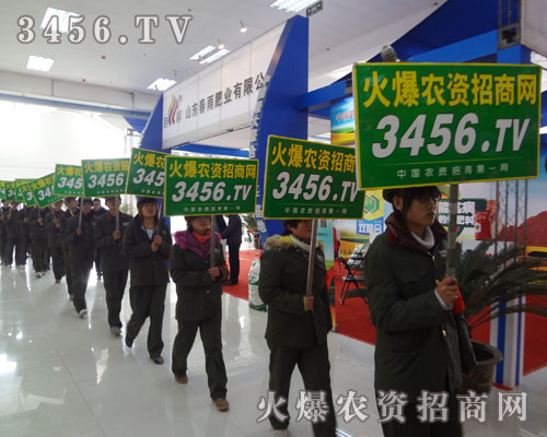 M(zhn)·r(nng)Y̾W(wng)꠲˿sŗ