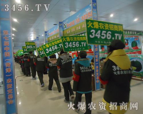 (qing)ƏVֻC҂еЧ