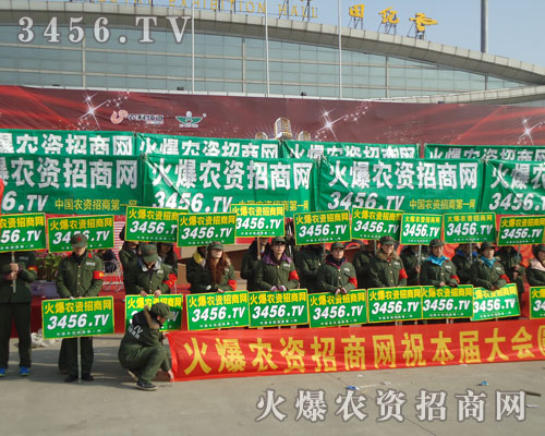 𱬾W(wng)԰P(yng)ľF(tun)Y(ji)M(jn)ȡǰ