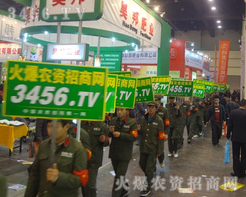 氣模寶寶隊伍勢如破竹