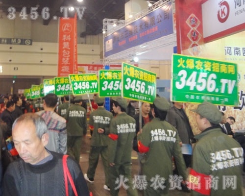 火爆網(wǎng)的健將們一個個精神飽滿