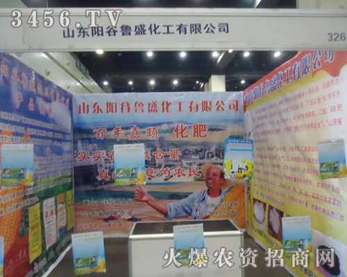 山東陽谷魯盛化工有限公司