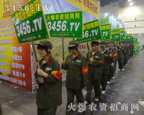 天道酬勤,全力以赴