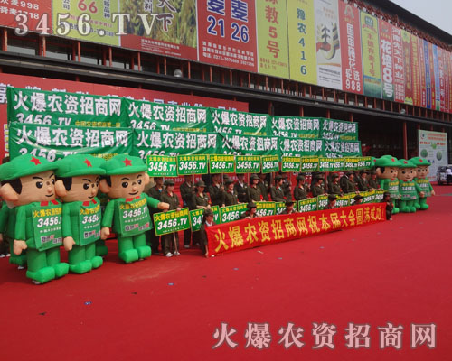 𱬑(zhn)ʿ(jin)ֲиƴǰM(jn)