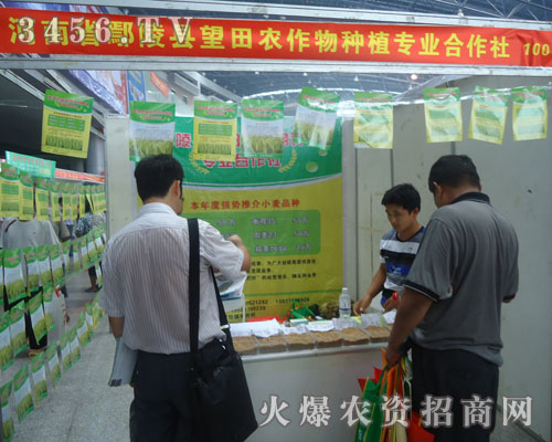 鄢陵縣望田農(nóng)作物種植合作社