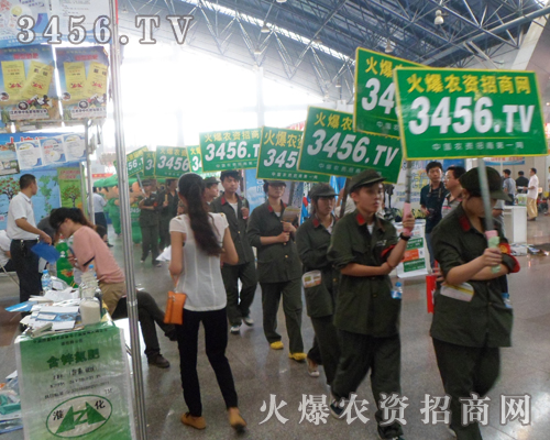 到處都有綠色軍裝隊(duì)伍奮戰(zhàn)的步伐