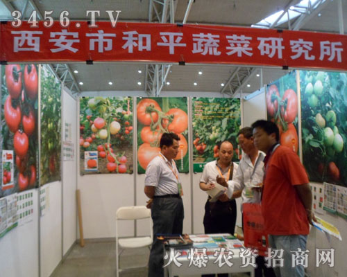 西安市和平蔬菜研究所