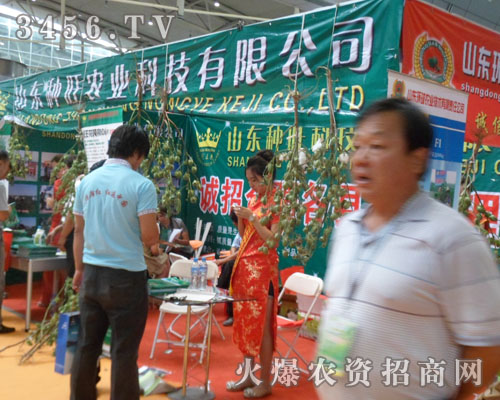 山東種旺農(nóng)業(yè)科技有限公司