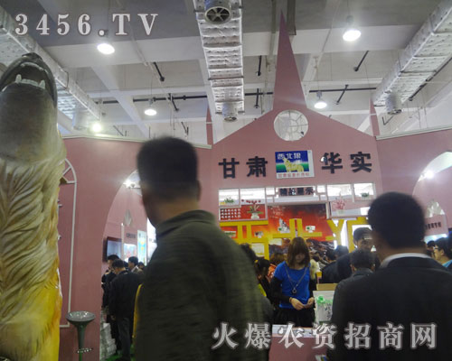 甘肅華實(shí)農(nóng)業(yè)科技有限公司