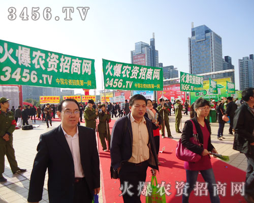 ɽ|ֲϣ𱬾W(wng)(chung)º_M(jn)е