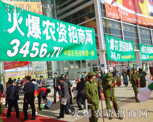 𱬾W(wng)һ֧ܸƴľӢF(tun)(du)