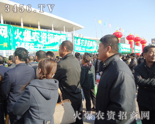 𱬾W(wng)ԼČ(sh)HЄ(dng)V(xi)ի@ĴT