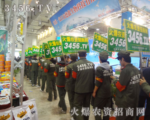 𱬾W(wng)׌Ҋ(jin)Cһ֧̤(sh)ϸɵĈF(tun)(du)